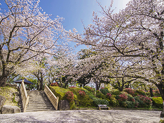 飛鳥山公園