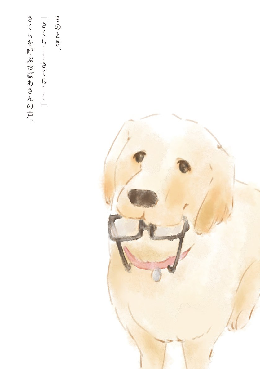 おじいさんと愛犬さくらの物語